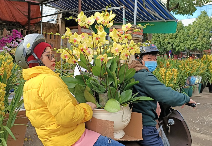 Hoa lan Trung Quốc tràn ngập, đắt đỏ ngang ngửa lan Đà Lạt - Ảnh 5.