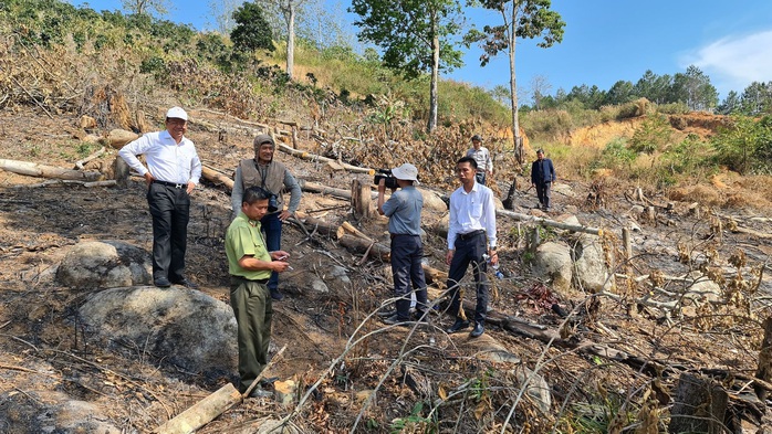 Lâm Đồng tái xuất tình trạng phá rừng phòng hộ, lấn chiếm đất - Ảnh 9.