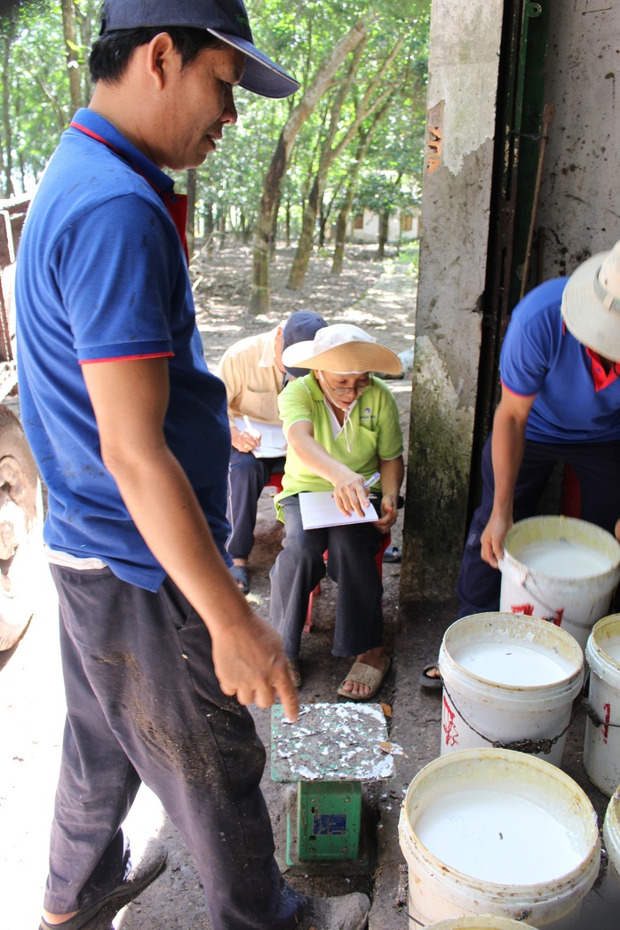 Tây Ninh: Giao đất cho dân rồi... lật kèo - Ảnh 2.