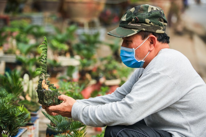 CLIP: Vạn tuế Bonsai hàng chục triệu đồng hút khách mua - Ảnh 4.