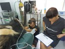 Động vật phải được đối xử nhân đạo Động vật phải được đối xử nhân đạo