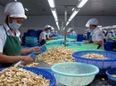 Lo thua trên sân nhà Lo thua trên sân nhà