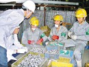 Đà Nẵng: Gần 1.100 chỗ làm cho lao động EPS Đà Nẵng: Gần 1.100 chỗ làm cho lao động EPS