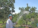 Tháo nút thắt tín dụng nông nghiệp Tháo nút thắt tín dụng nông nghiệp