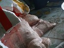 Ớn lạnh vú heo Trung Quốc Ớn lạnh vú heo Trung Quốc