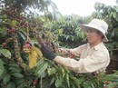 Xuất khẩu tiếp tục bứt phá Xuất khẩu tiếp tục bứt phá