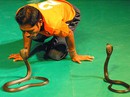 “Hàng độc” làm thuốc “Hàng độc” làm thuốc