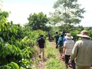 Truy tìm kẻ hiếp, giết bé 7 tuổi Truy tìm kẻ hiếp, giết bé 7 tuổi