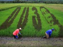 Philippines “ra đòn” với Mỹ Philippines “ra đòn” với Mỹ