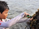 Bộ ảnh thương lắm ngày hè của trẻ Lý Sơn Bộ ảnh thương lắm ngày hè của trẻ Lý Sơn
