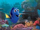 “Đi tìm Dory”: Hành trình ý nghĩa! “Đi tìm Dory”: Hành trình ý nghĩa!