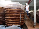 Vụ "nước mắm nhiễm asen": Xử phạt 50 cơ quan báo chí Vụ "nước mắm nhiễm asen": Xử phạt 50 cơ quan báo chí