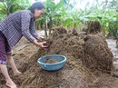 Kiệt quệ sau lũ Kiệt quệ sau lũ