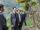 Cả nhà Bí thư Tỉnh ủy Hà Giang làm quan Cả nhà Bí thư Tỉnh ủy Hà Giang làm quan