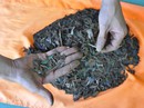 Xem xét cho phép thành lập “nhóm hút đinh” trên Quốc lộ 51 Xem xét cho phép thành lập “nhóm hút đinh” trên Quốc lộ 51