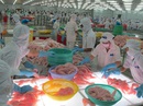 Xuất khẩu nông sản Việt sẽ gặp khó Xuất khẩu nông sản Việt sẽ gặp khó