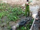 Tìm tung tích thi thể nam giới nổi trên sông Tìm tung tích thi thể nam giới nổi trên sông