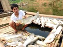 Bịt mắt trước ô nhiễm? Bịt mắt trước ô nhiễm?