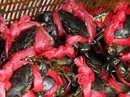 Người Trung Quốc “đội lốt” du khách thu mua thủy sản Người Trung Quốc “đội lốt” du khách thu mua thủy sản