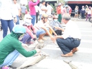 Vũng Tàu: Người dân mang cá chết ra chặn Quốc lộ 51 Vũng Tàu: Người dân mang cá chết ra chặn Quốc lộ 51