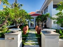 Chọn cây cảnh hợp phong thuỷ để trồng trong nhà Chọn cây cảnh hợp phong thuỷ để trồng trong nhà