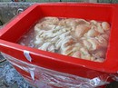 Đóng cửa 4 tháng cơ sở rửa lòng bò bằng hóa chất Đóng cửa 4 tháng cơ sở rửa lòng bò bằng hóa chất