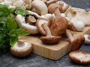 Công dụng tuyệt vời của nấm hương Công dụng tuyệt vời của nấm hương
