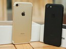 iPhone 7 giảm giá sâu, khuyến mãi lớn vẫn vắng khách iPhone 7 giảm giá sâu, khuyến mãi lớn vẫn vắng khách