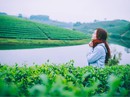 "Ốc đảo" chè xanh đẹp mê hồn giữa miền Tây xứ Nghệ "Ốc đảo" chè xanh đẹp mê hồn giữa miền Tây xứ Nghệ