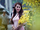 Sắc xuân tươi thắm trên phố Sài Gòn Sắc xuân tươi thắm trên phố Sài Gòn