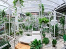 Khu vườn tuyệt đẹp có chức năng "điều hoà" Khu vườn tuyệt đẹp có chức năng "điều hoà"