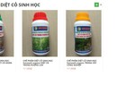 Thực hư thuốc trừ cỏ uống không chết Thực hư thuốc trừ cỏ uống không chết