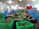 Giúp nông dân mở rộng thị trường Giúp nông dân mở rộng thị trường