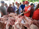 "Giải cứu" thịt heo hay cuộc chiến bán lẻ? "Giải cứu" thịt heo hay cuộc chiến bán lẻ?