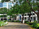 Xu thế tất yếu của bất động sản xanh Xu thế tất yếu của bất động sản xanh