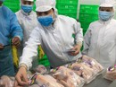 Từ ngày 3-10, thịt gà truy xuất được nguồn gốc Từ ngày 3-10, thịt gà truy xuất được nguồn gốc