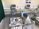 Cảnh giác cao độ viêm não Nhật Bản! Cảnh giác cao độ viêm não Nhật Bản!