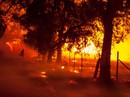 Cháy rừng California: Chỉ còn tro và xương Cháy rừng California: Chỉ còn tro và xương