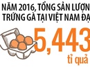 Lấy trứng chọi trứng Lấy trứng chọi trứng