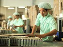Việt Nam - WTO: 10 năm được, mất Việt Nam - WTO: 10 năm được, mất