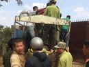 Lâm tặc quá lộng hành! Lâm tặc quá lộng hành!