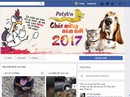 Hàng loạt Fanpage biến mất, vì sao? Hàng loạt Fanpage biến mất, vì sao?
