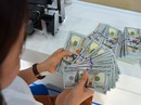 Tạm dừng bảo lãnh Chính phủ cho các khoản vay trong và ngoài nước Tạm dừng bảo lãnh Chính phủ cho các khoản vay trong và ngoài nước