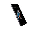 Bphone 2: chưa mấy ấn tượng Bphone 2: chưa mấy ấn tượng