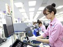 Xuất khẩu của khối FDI ngày càng phình to Xuất khẩu của khối FDI ngày càng phình to