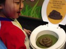 6 điểm du lịch nổi tiếng với chủ đề toilet và chất thải 6 điểm du lịch nổi tiếng với chủ đề toilet và chất thải