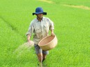 Bảo hộ DAP coi chừng bị trả đũa Bảo hộ DAP coi chừng bị trả đũa