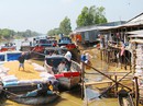 Công bố hàng loạt sai phạm tại Vinafood 2 Công bố hàng loạt sai phạm tại Vinafood 2