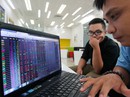 Làm giàu từ hưởng cổ tức của cổ phiếu giá bèo Làm giàu từ hưởng cổ tức của cổ phiếu giá bèo