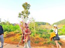 Vụ bẻ hoa anh đào: "Tôi mong mọi người bỏ qua" Vụ bẻ hoa anh đào: "Tôi mong mọi người bỏ qua"